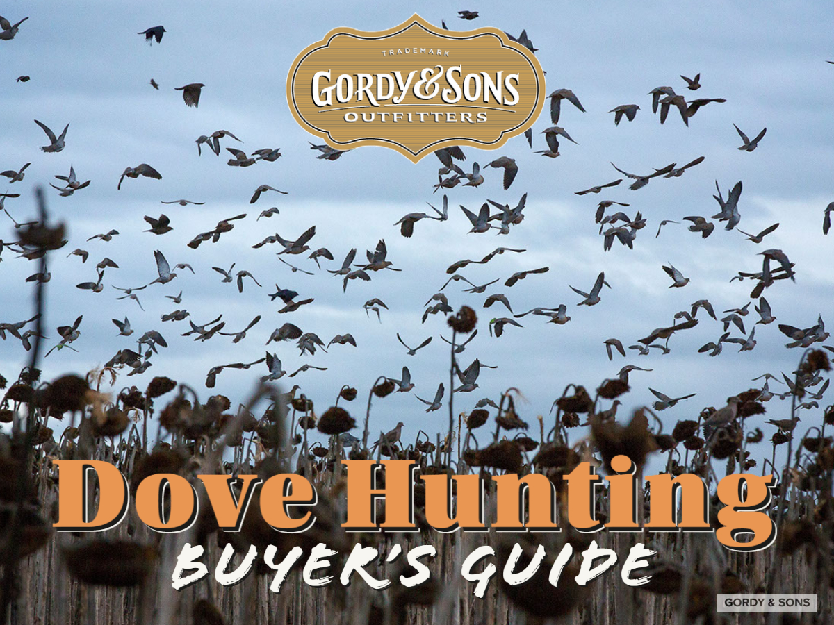 2022 Guide to Dove Hunting Essentials